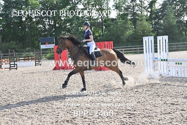 BPP_2460 - CLASS 4 Senior British Novice/ 90cm Open