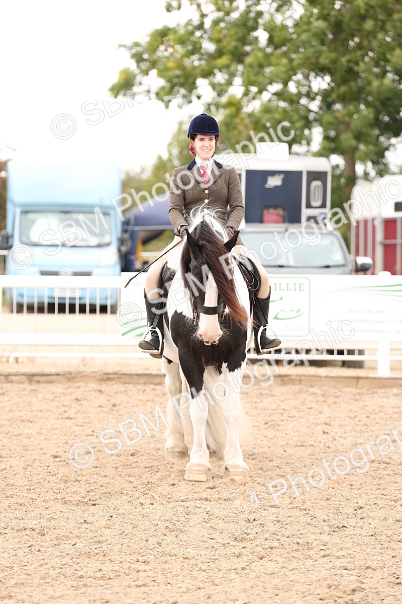 SBM_19725 - Class 216 - Ridden Traditional - Native Cob