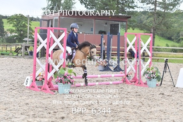 BPP_6344 - CLASS 3  - 40CM