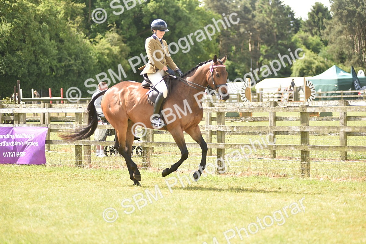 SBM_15075 - Class 113-114 - Retraining of Racehorses Ridden