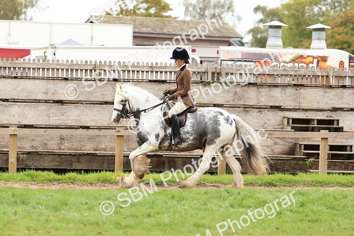 SBM_64479 - S58 - Coloured Pony Ridden