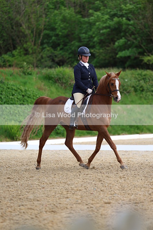 3E7A3481 - Class 2: INTRO B- INTRO 3 2024