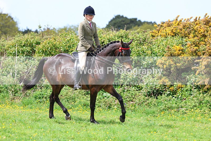 3E7A2021 - Class 10: Ridden Sports Horse
