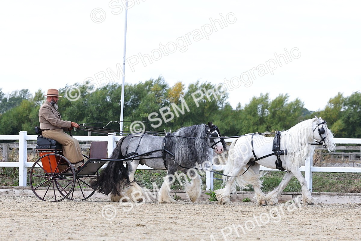SBM_001150 - Class 16 - Pairs ,Multiples and Tandems
