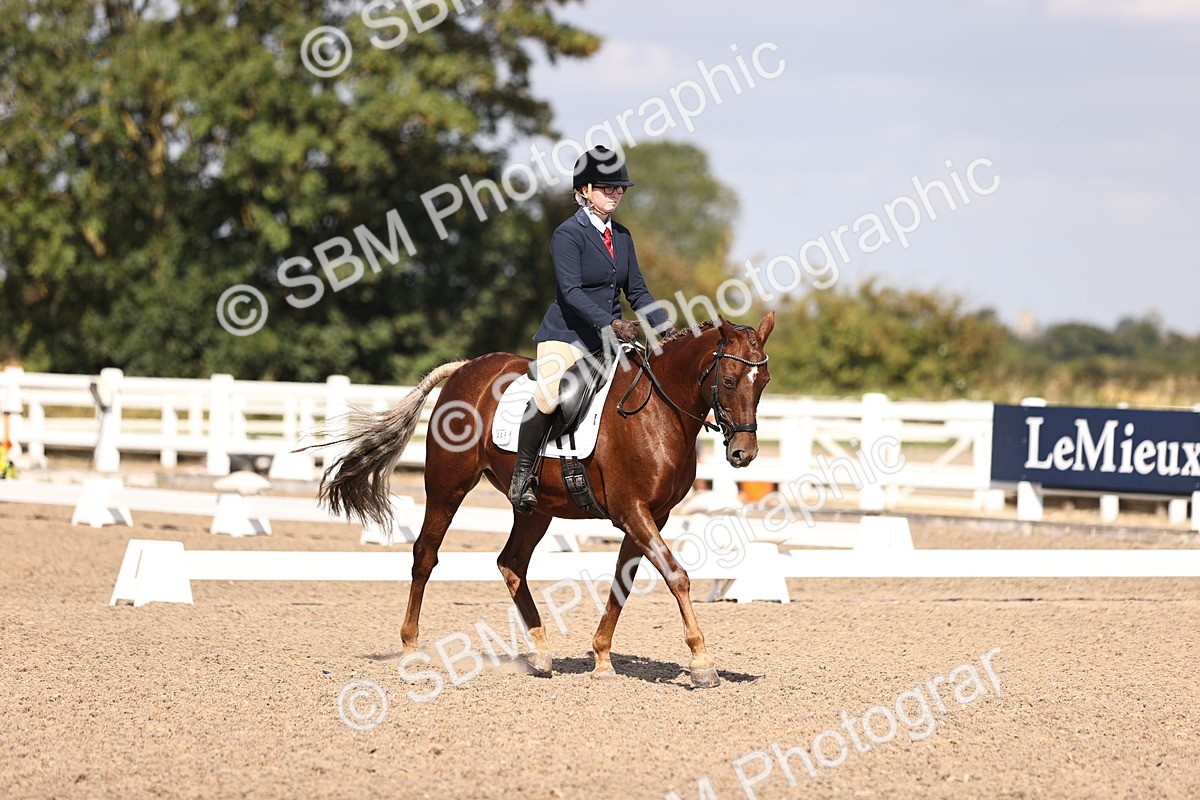 SBM_03562 - CLass 35 Intro 3