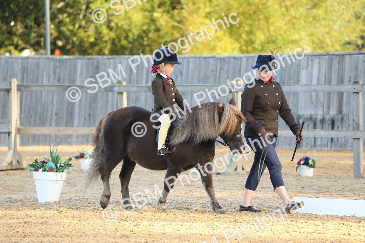 SBM_33526 - D26 - Starers - Lead Rein