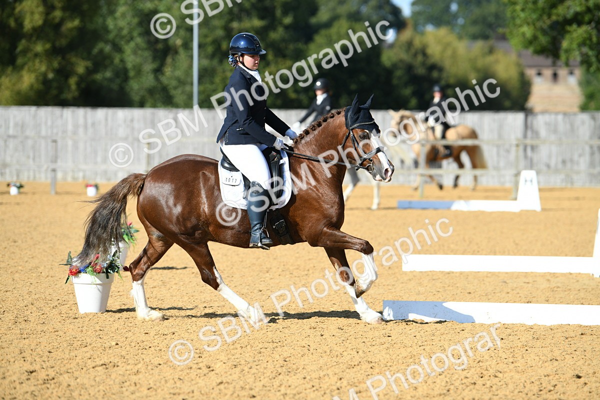 SBM_27229 - D16 - Small Tour Championship - Novice 28
