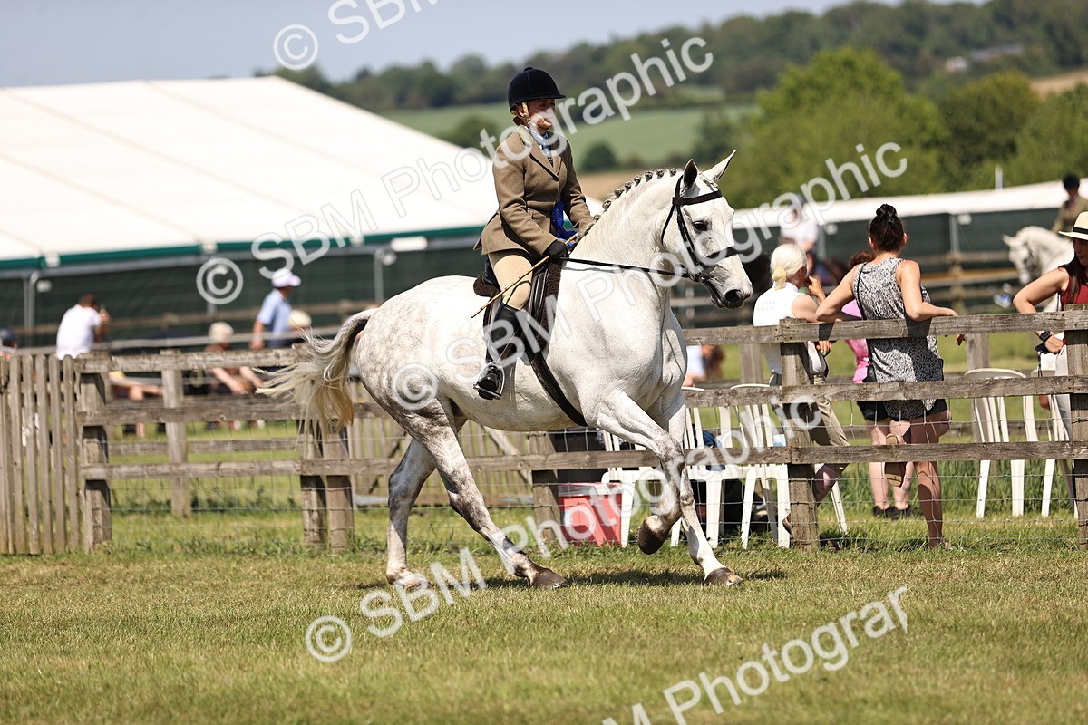 SBM_16229 - Class 79-80 - LIHS BSHA Rising Star Ridden Hunter