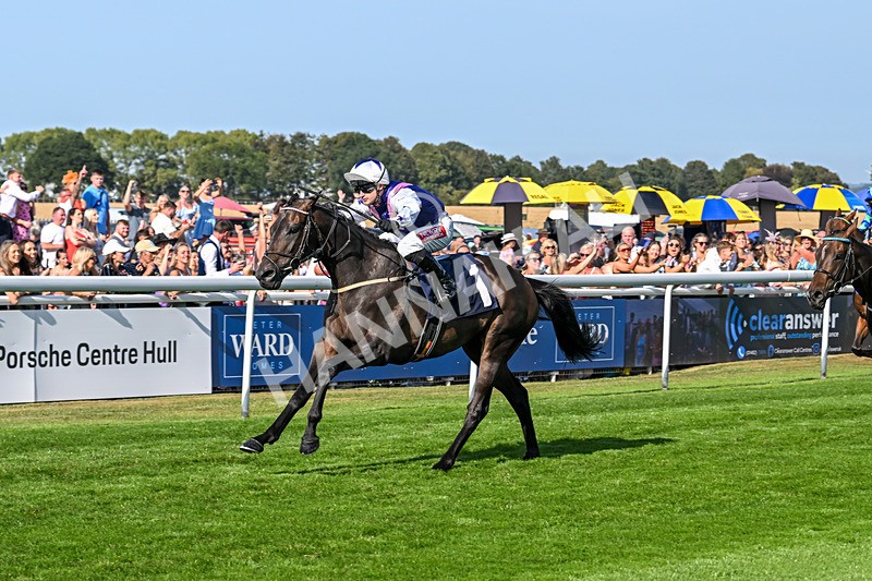 130825-Race 6-Time Tells All-9373 - Race 6