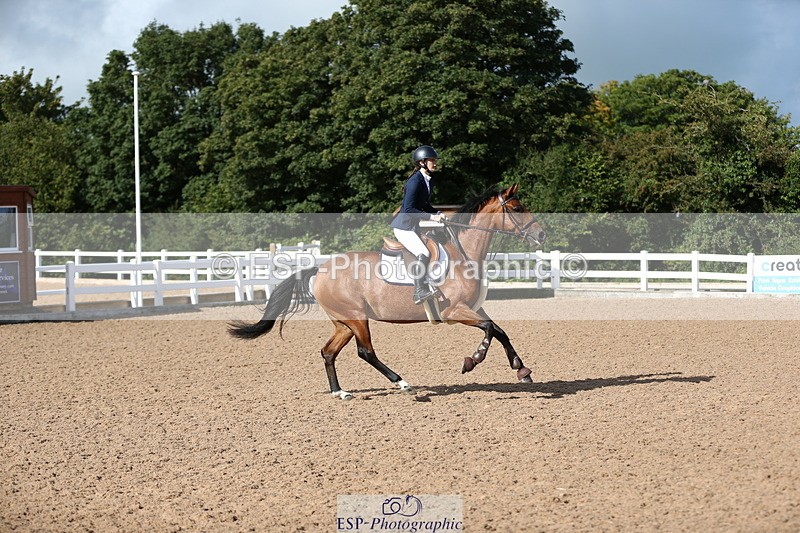 230811A-093051-02869 - Cls 13 A&B Snr Brit Nov & 90cm Open