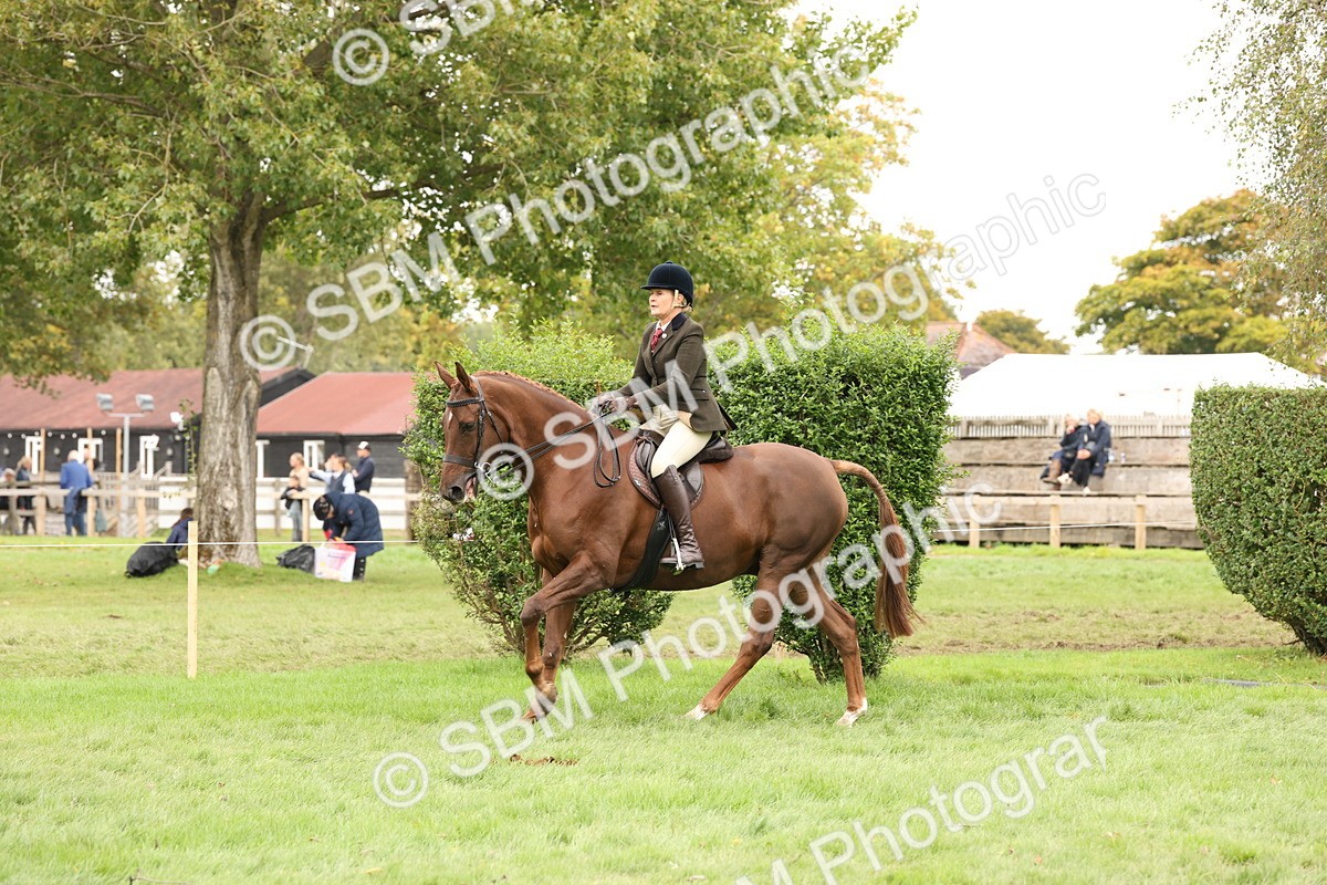 SBM_64253 - S65 - Riding Horse & Hack & Thoroughbred Ridden
