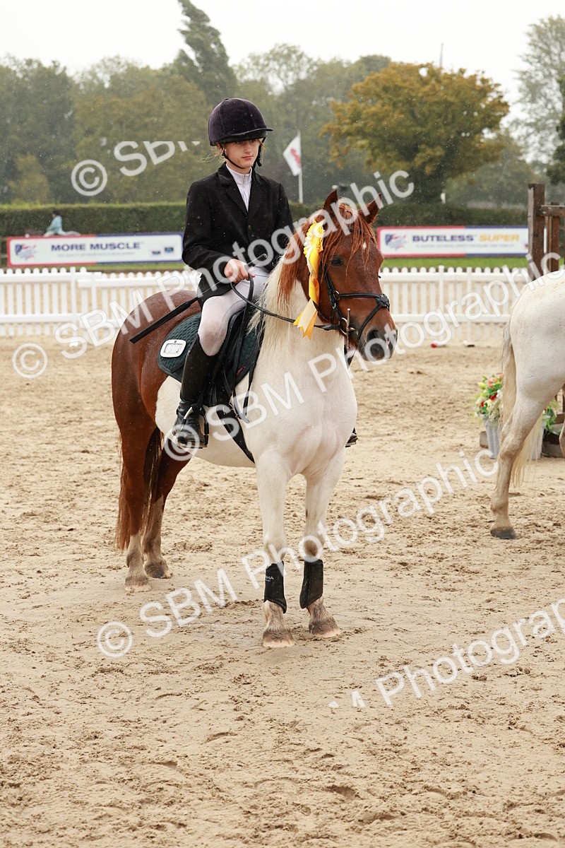 SBM_72304 - J14 - Junior Pony 65cm Championship