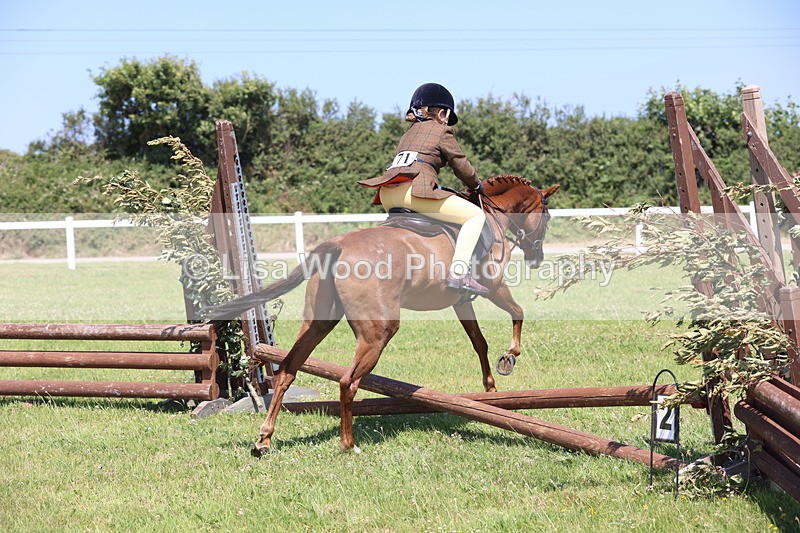 JPP_2244 - Class 20: Tiny Tots Working Hunter Pony