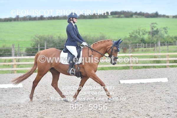 BPP_5956 - PRELIM TEST 5 LONG ARENA