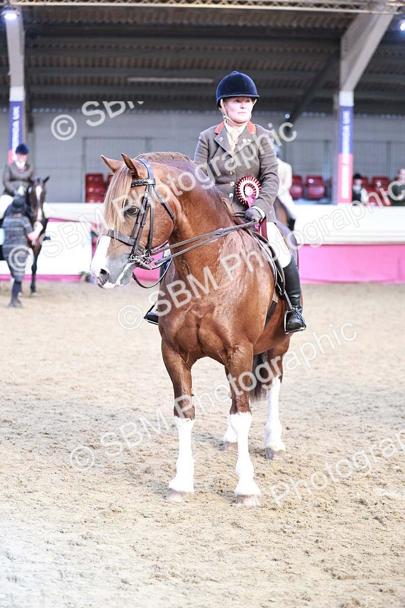 SBM_09118 - Class 12R - Regional Ridden Pre-Vet