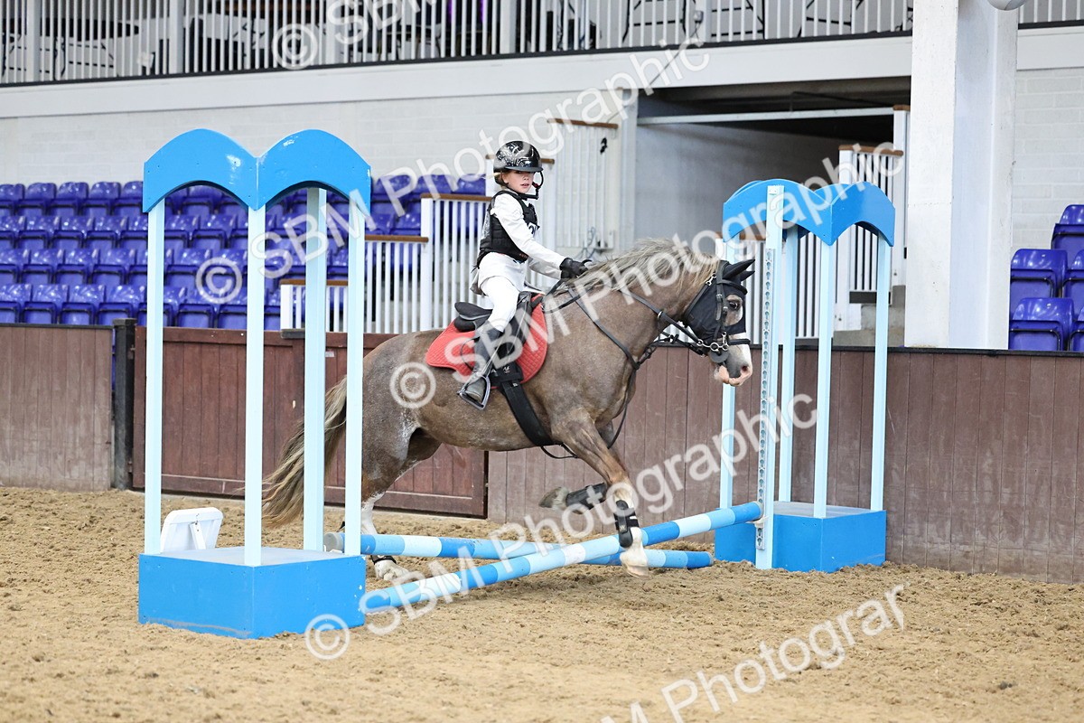 SBM_007009 - Class 1 - 40cm showjumping