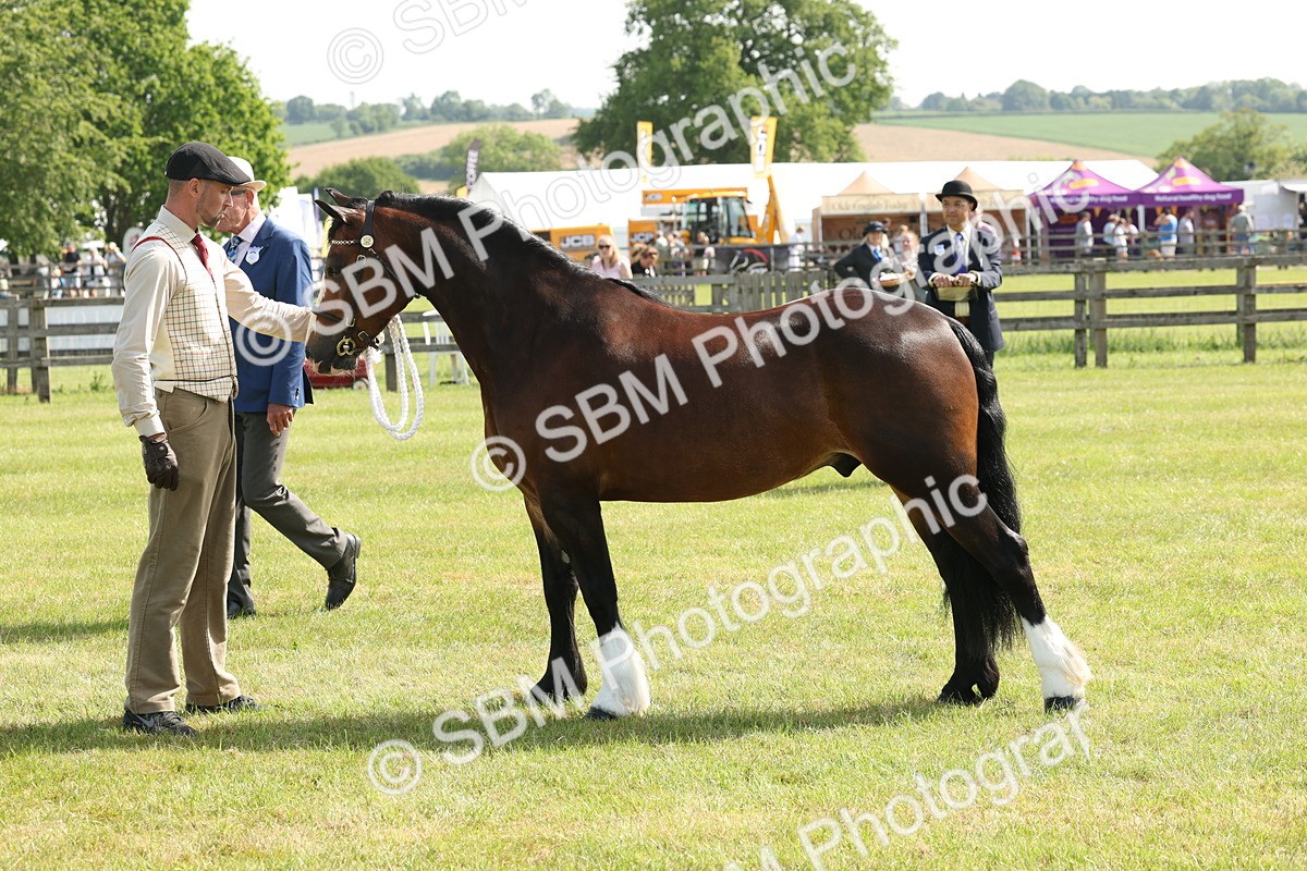 SBM_02152