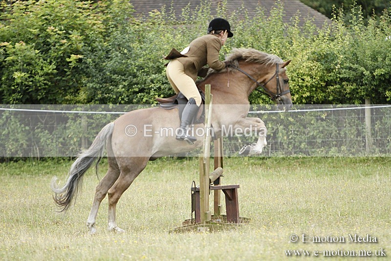 BVR160717-135 - Ring 3 BVRC Show 16/07/17