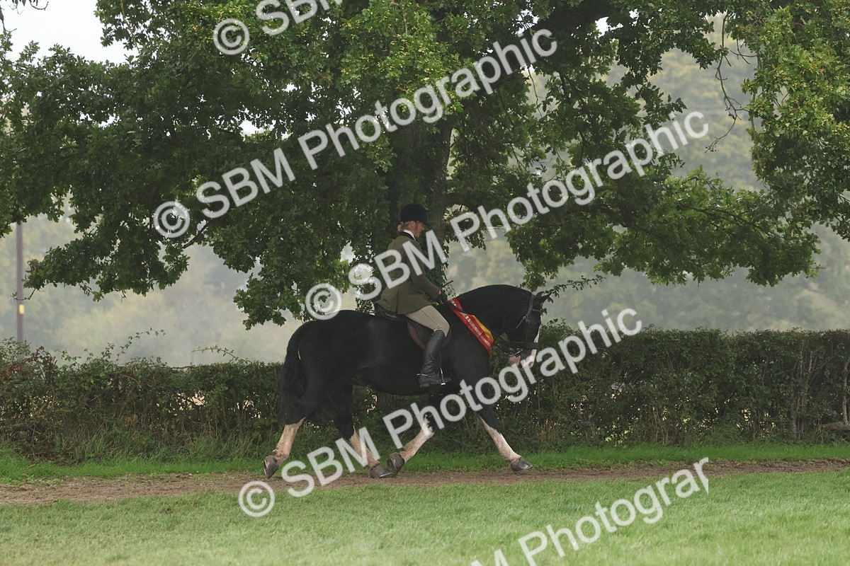 SBM_73203 - Super Supreme Championship(Sun)