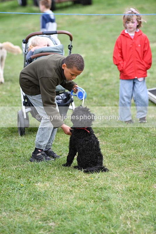 WJ5_9111 - Class 1 Best Cross Breed / Heniz 57