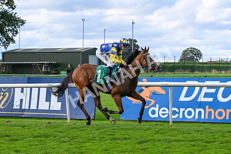 140926-Race 3-Majestic Jude-7088 - Race 3 3.21pm British Stallion Studs EBF Novice Stakes
