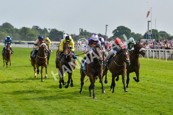 270523-Race 6-Quantum Impact-4549 - Race 6 4.25pm Royal Yorkshire Regiment Handicap
