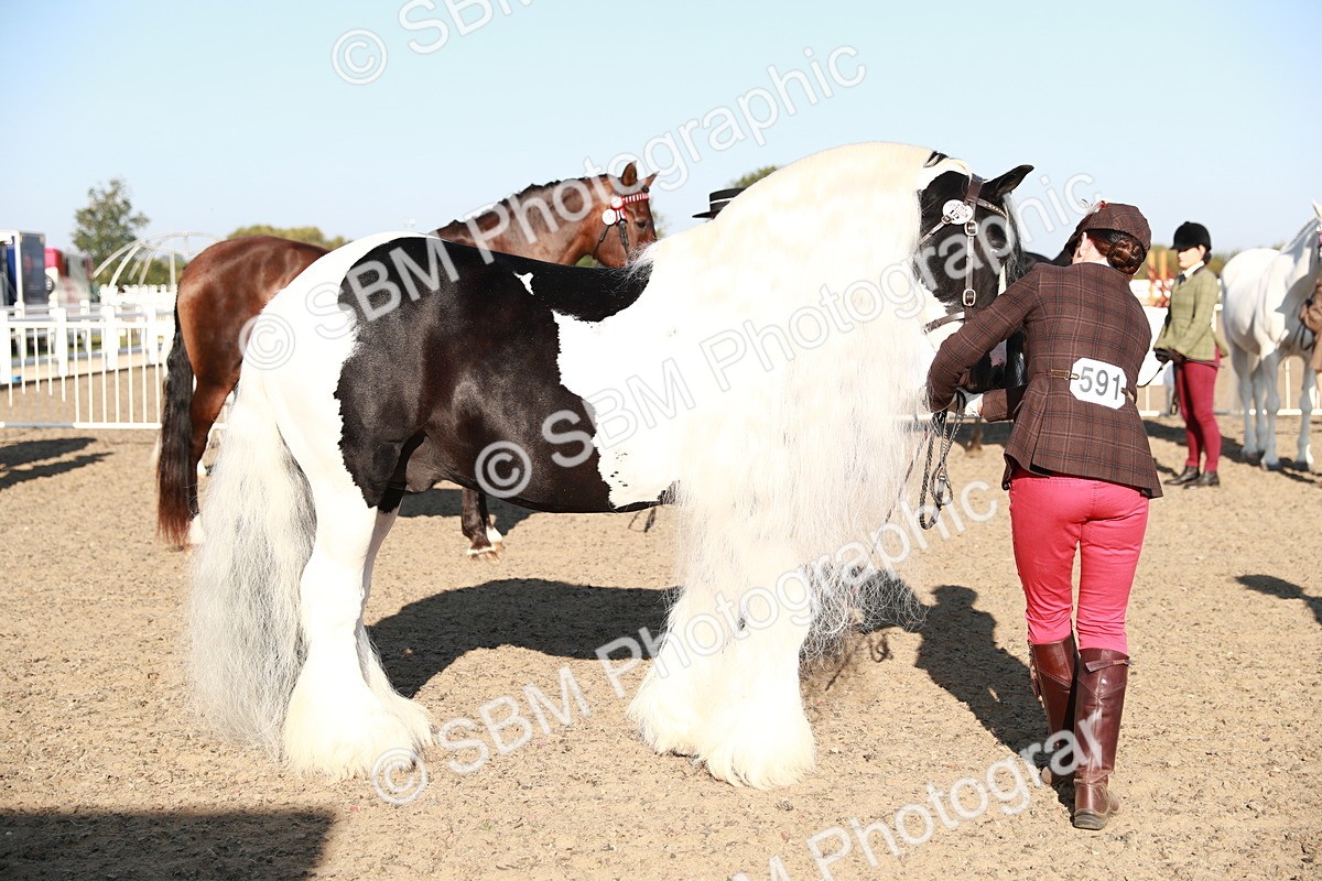 SBM_00057 - Class 40 Best Turned Out IH