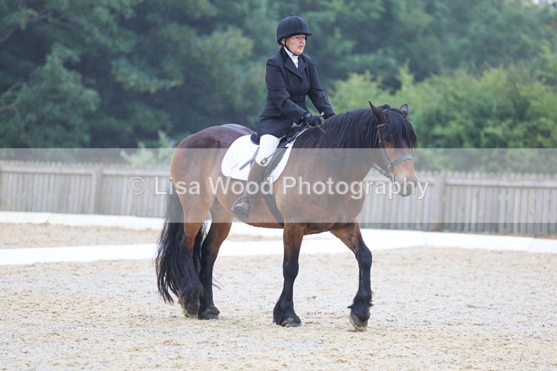 3E7A8162 - Class 1: Intro 3 2024 section A