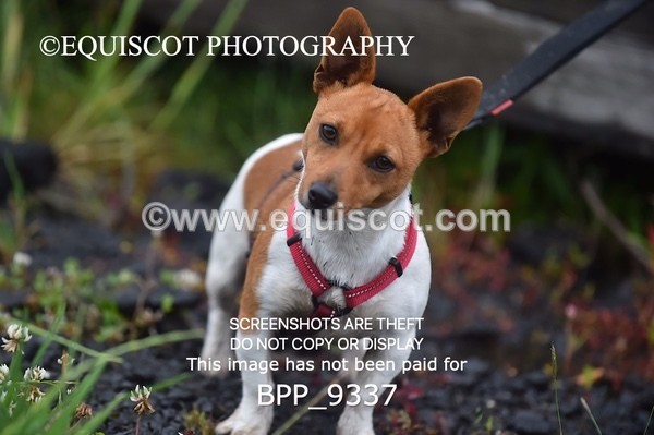 BPP_9337 - CLASS 17 SUN Springboard 128cm/ 138cm Restricted Handicap