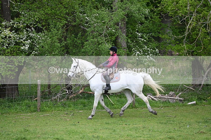 WJ6_3157 - A camera