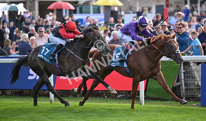 190826-259 Henley On Thames - Race 7 17.20pm Sky Bet Nursery Handicap