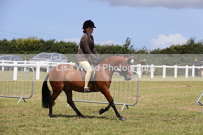 1X9A4374 - Class 34: Veteran Ridden