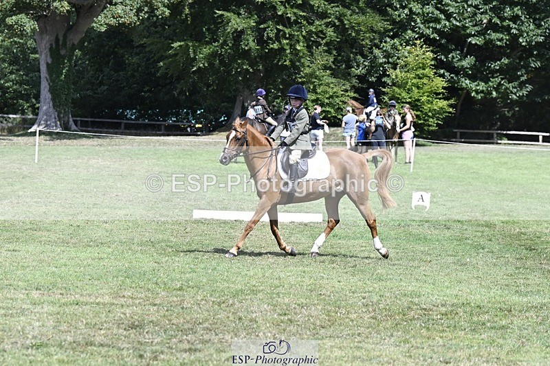 250822A-121425-22643 - DR 11.00 to 12.00