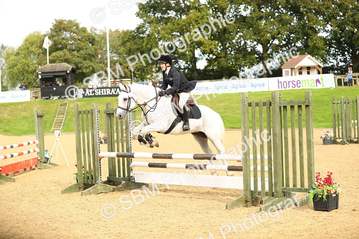 SBM_70338 - J18 - Junior Pony 85cm Championship