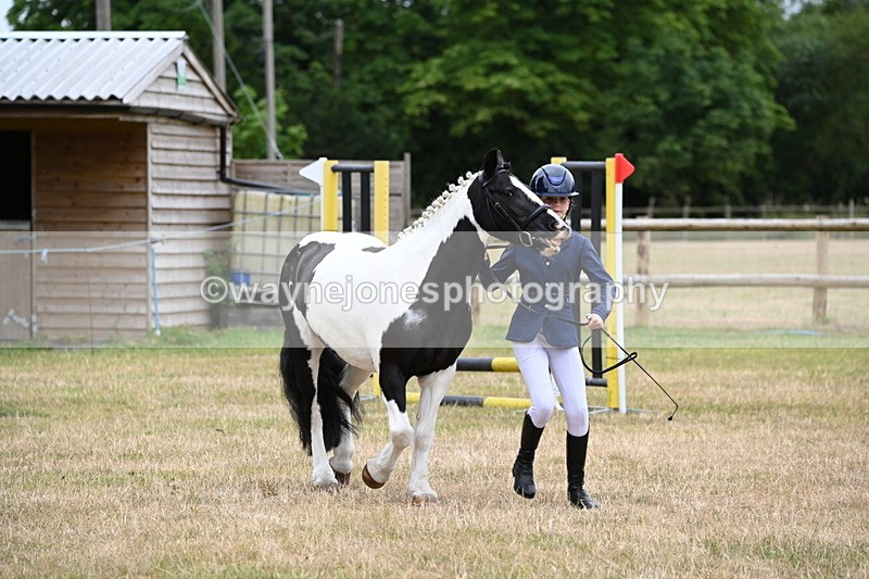WJ6_4387 - Class 10 Coloured In-hand