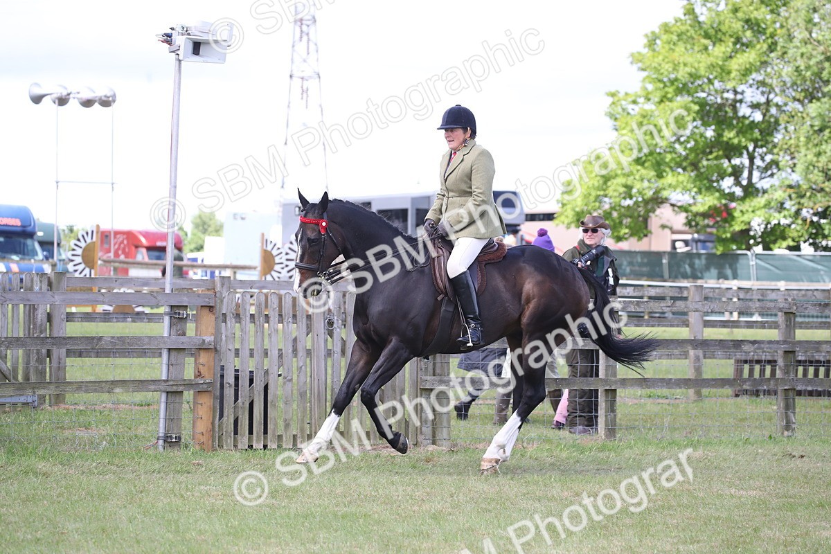 SBM_14215 - Class 113-114 - Retraining of Racehorses Ridden