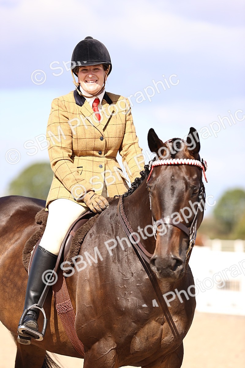 SBM_12991 - Class 410 - Grassroots Ridden - Horse