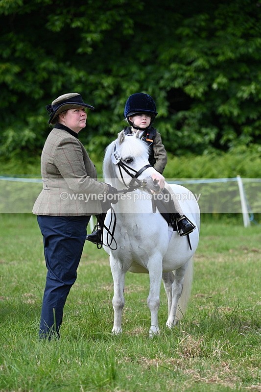WJ7_0800 - Class 8 First Rally Pony