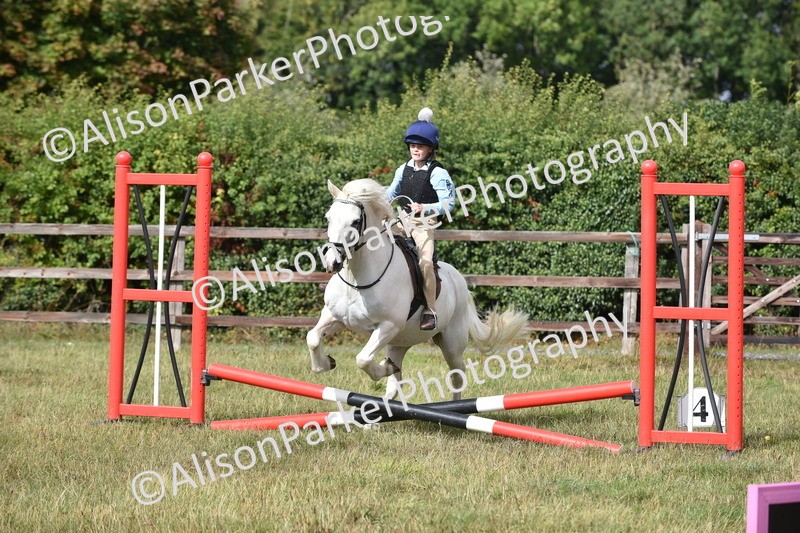 20250831-1789 - Class 8 - Hoof and Foot