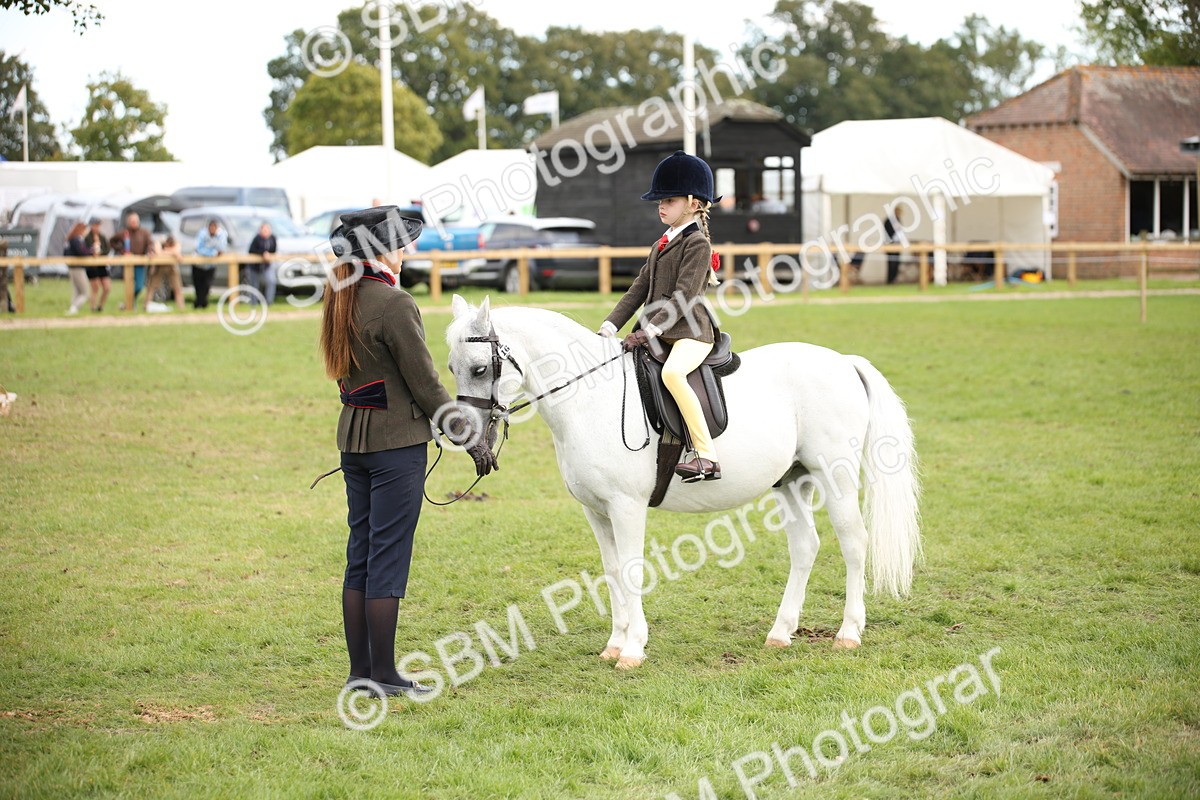 SBM_50007 - S26 - Young Veteran - Ridden