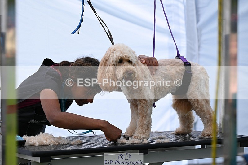 240525-114810-12628 - Candid and Saturday Hobby Horse