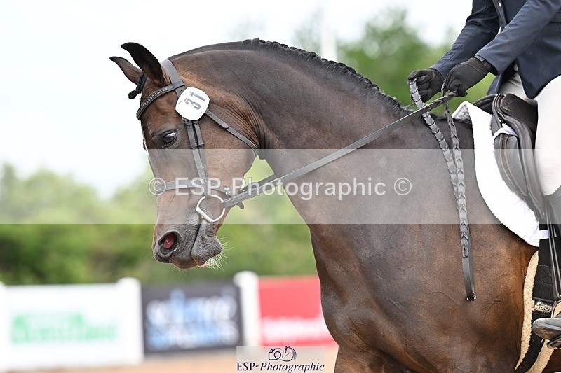 260704-113028-04429 - Cls 2D Senior Grassroots BRC Prelim B