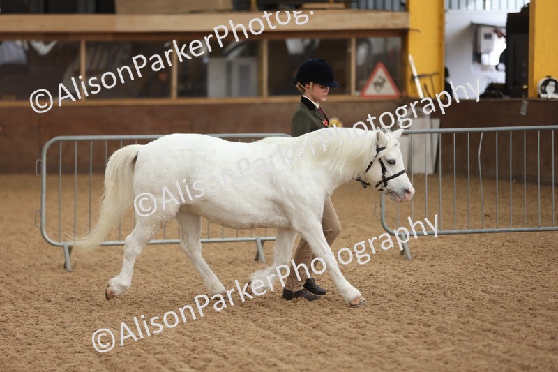 20251109-0554 - Class 21 - Mares 4 Years and over