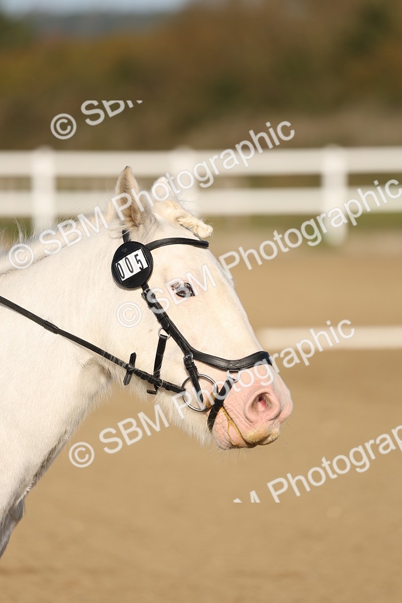 SBM_000213 - Class 1-8-9-6-5 - MQ U21-Open Intro 1 P2 N1 P1