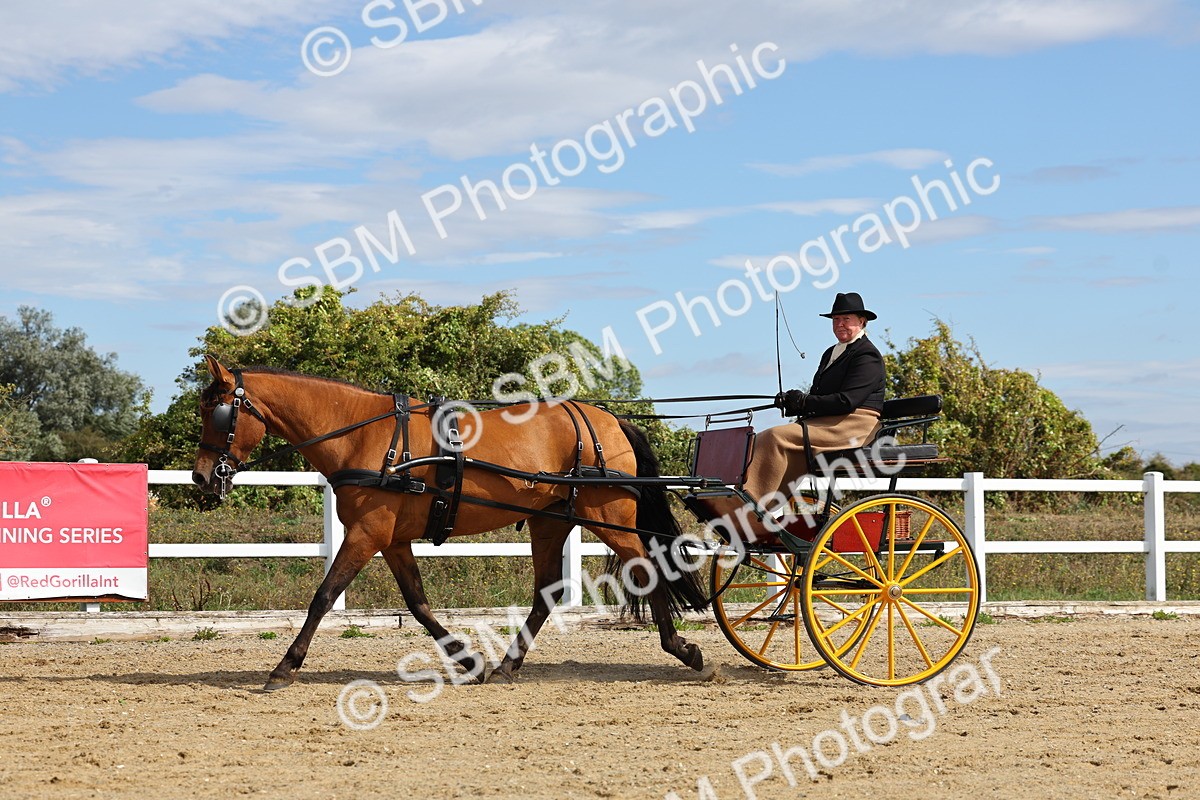 SBM_000917 - Class 8 - Novice Horse or Pony to any vehicle
