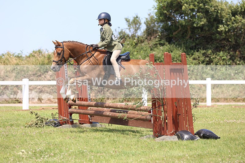 JPP_2671 - Class 21: Working Hunter 60cm