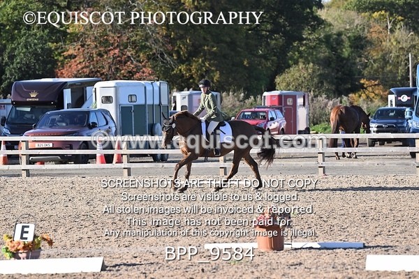 BPP_9584 - SHORT ARENA