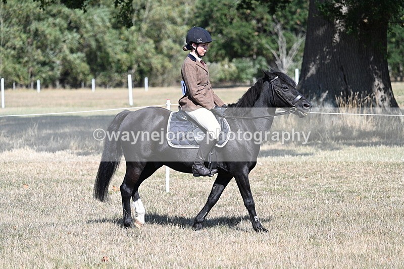 WJ7_3462 - Class 9 Mountain & Moorland Ridden