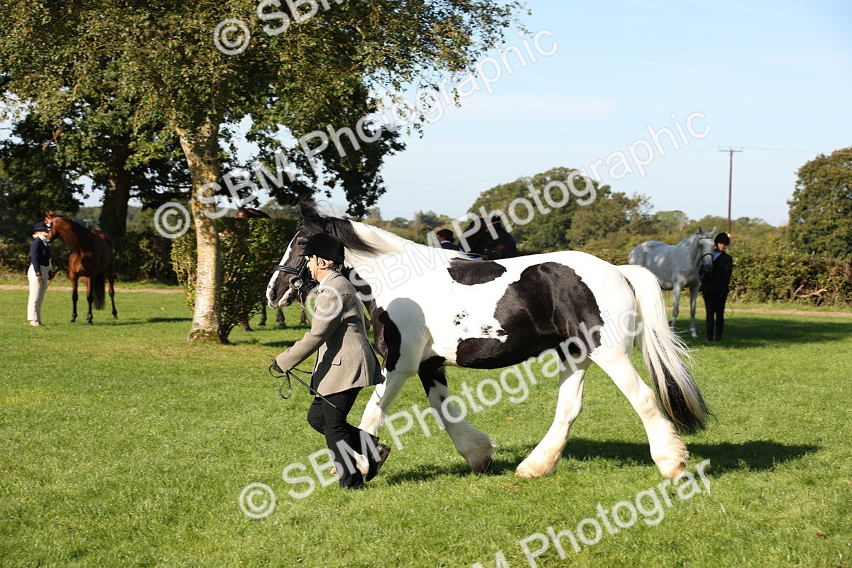SBM_36590_S10 - Best In Hand Horse Pony - Theresa Huttom