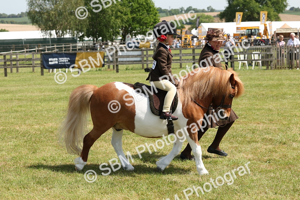 SBM_05265